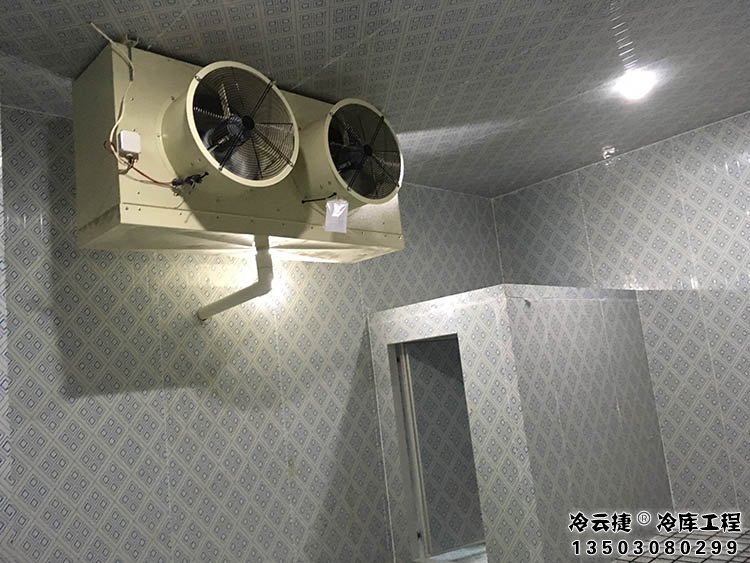 珠海茶葉冷庫