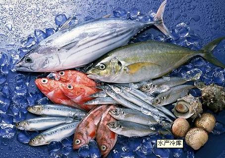 廣州水產(chǎn)品冷庫(kù)