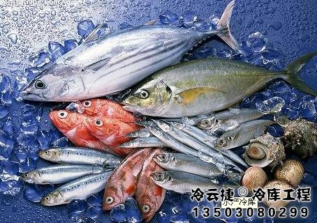 廣州水產(chǎn)品冷庫