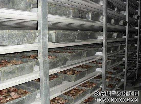 肇慶水產(chǎn)品冷庫(kù)