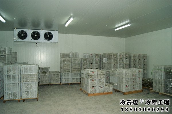 肇慶食品冷庫(kù)