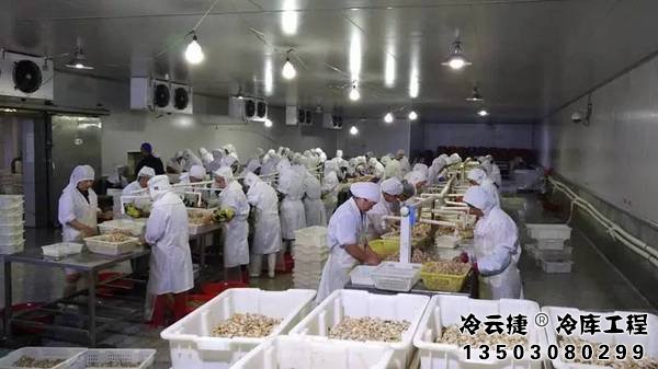 清遠海鮮冷庫