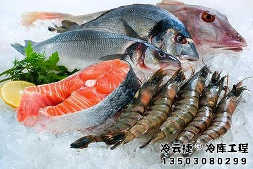 清遠海鮮冷庫