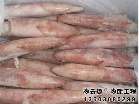中山海鮮冷庫