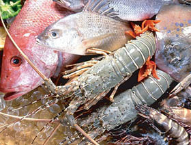 珠海海鮮冷庫(kù)