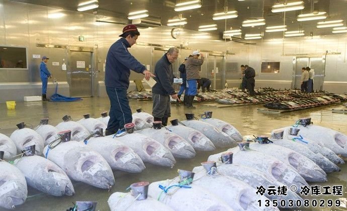 韶關(guān)海鮮冷庫