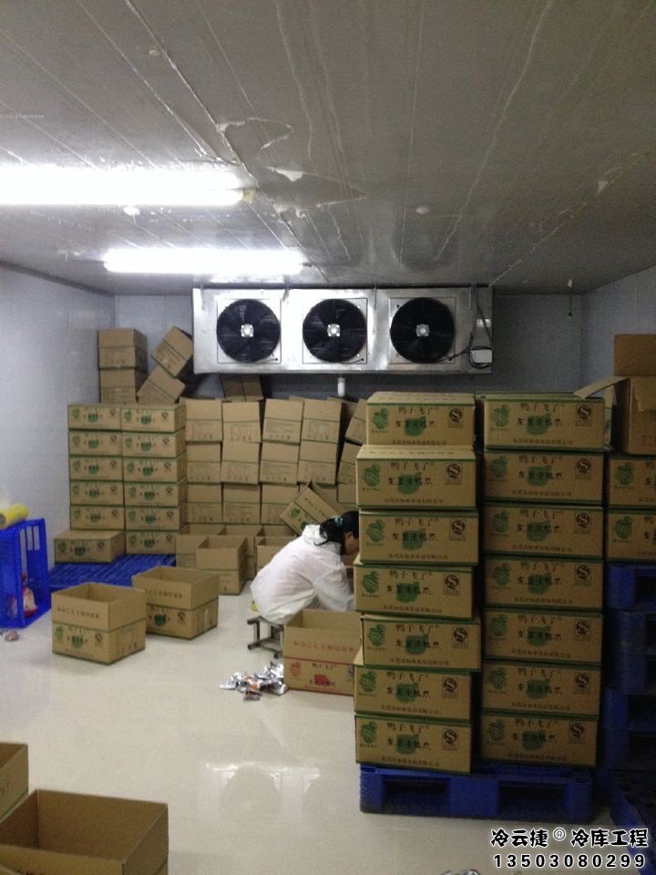 江門水果冷庫