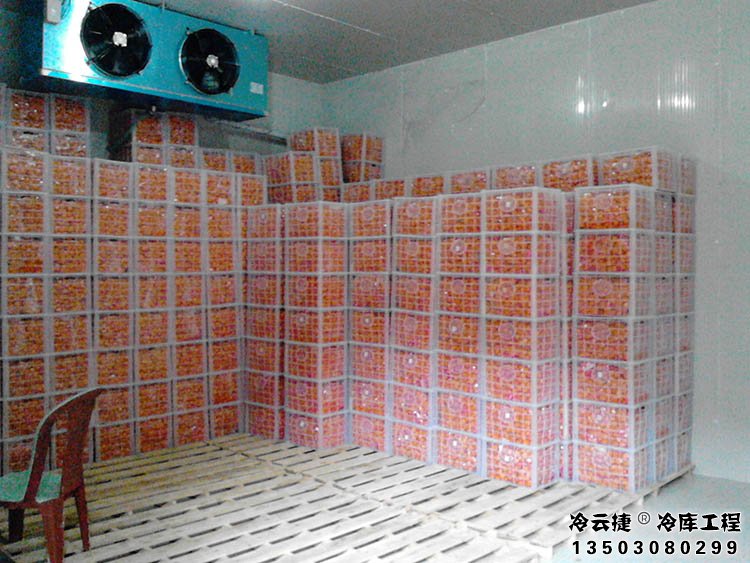 云浮水果冷庫