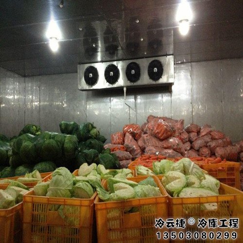 廣州蔬菜冷庫