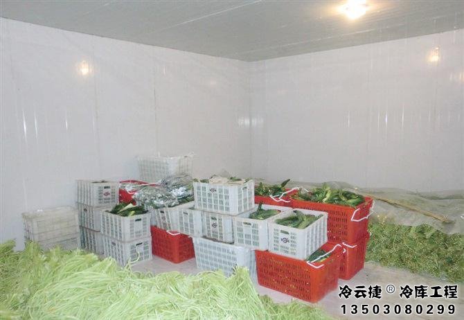 廣州蔬菜冷庫