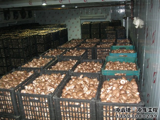 清遠蔬菜冷庫