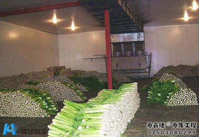 云浮蔬菜冷庫