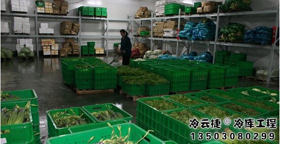 韶關(guān)蔬菜冷庫