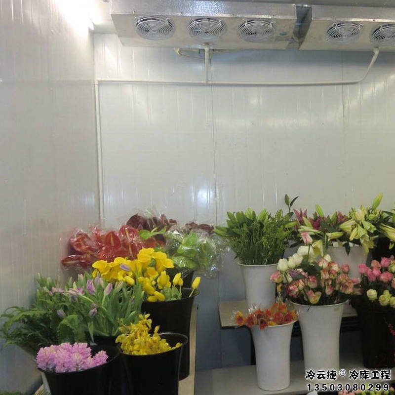 廣州鮮花冷庫