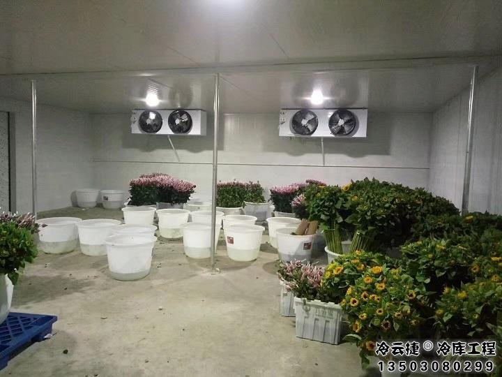 廣州鮮花冷庫