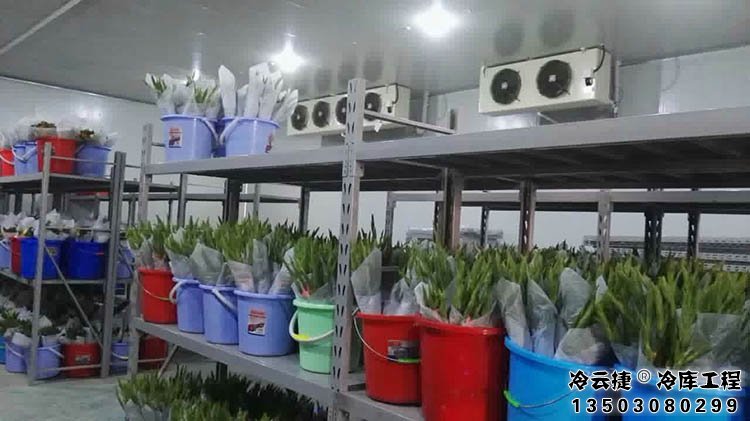 佛山鮮花冷庫