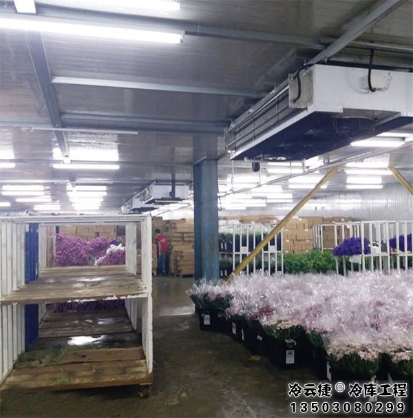 中山鮮花冷庫