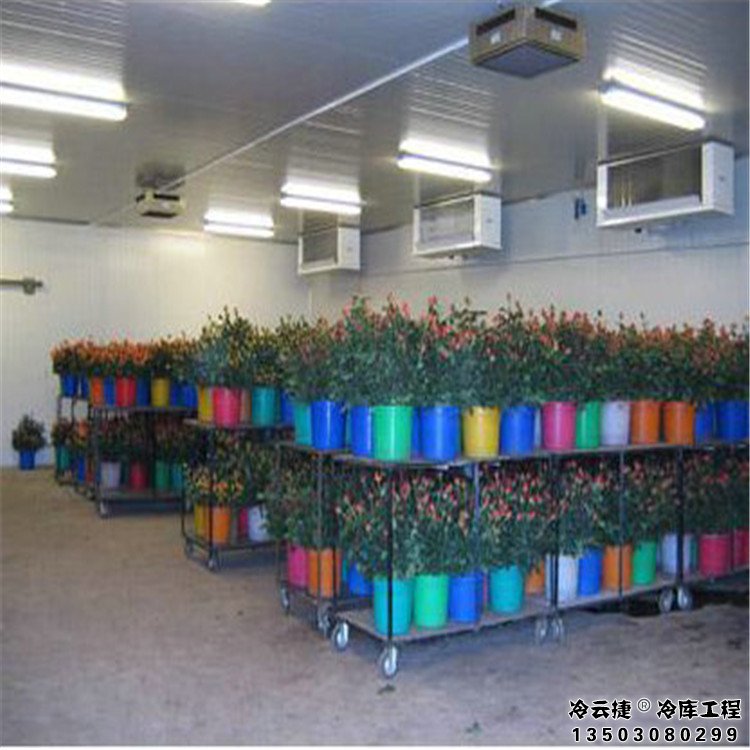 珠海鮮花冷庫
