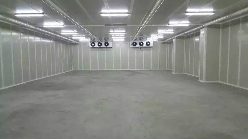 清遠(yuǎn)速凍冷庫