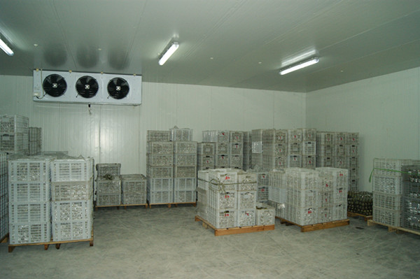 佛山氣調(diào)庫